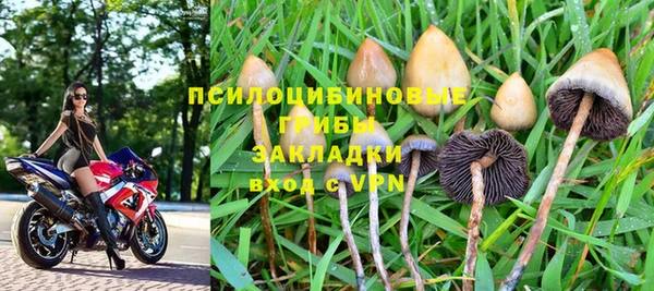 MESCALINE Алзамай