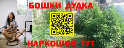 скорость Дубна