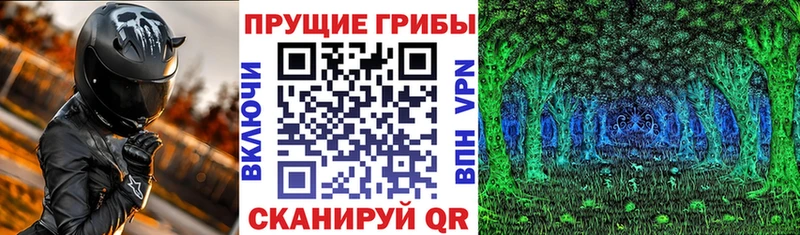 Псилоцибиновые грибы прущие грибы  Нижнеудинск 
