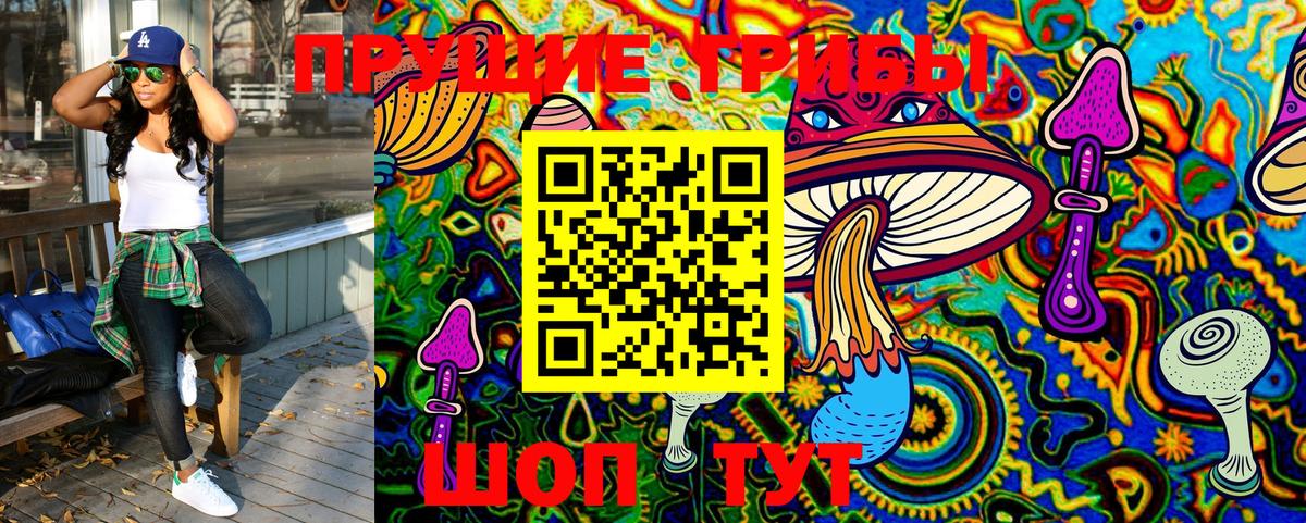 Нижнеудинск  Псилоцибиновые грибы GOLDEN TEACHER  Вход с VPN 