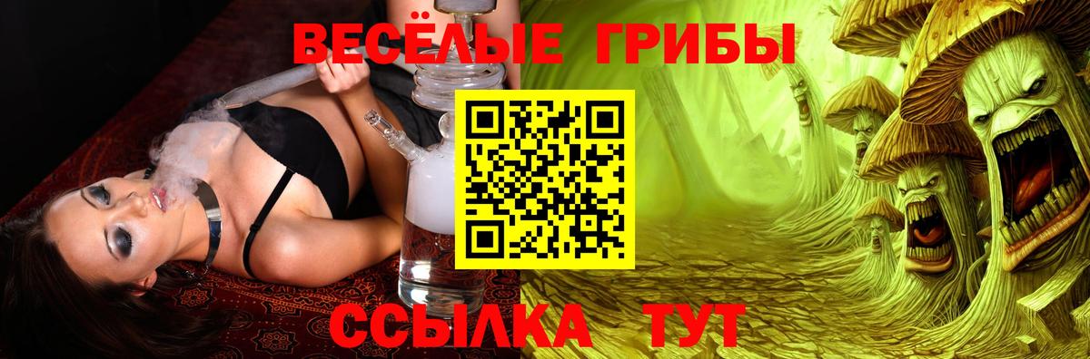 Псилоцибиновые грибы GOLDEN TEACHER Нижнеудинск